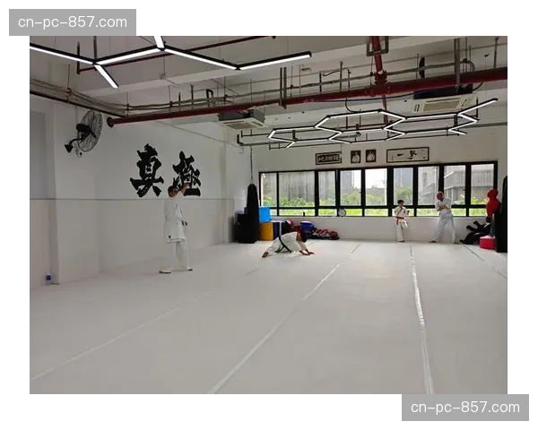 “柔道进社区”项目在英国百座城市展开，旨在提升青少年参与度